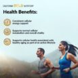 NMN California Gold Nutrition 175mg 60 Veg Caps Benefits