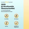 NMN California Gold Nutrition 175mg 60 Veg Caps Info